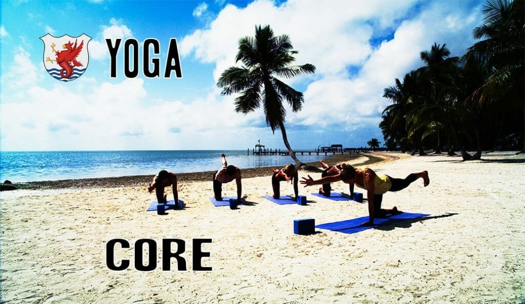 In this core exercise video we have incorporated traditional Vinyasa Yoga with some of our favorite core exercises that seamlessly blend into this intense and rewarding Yoga for Swimmers sequence.