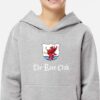 TRC Signature Pullover Hoodie Youth Grey Heather - Image 3