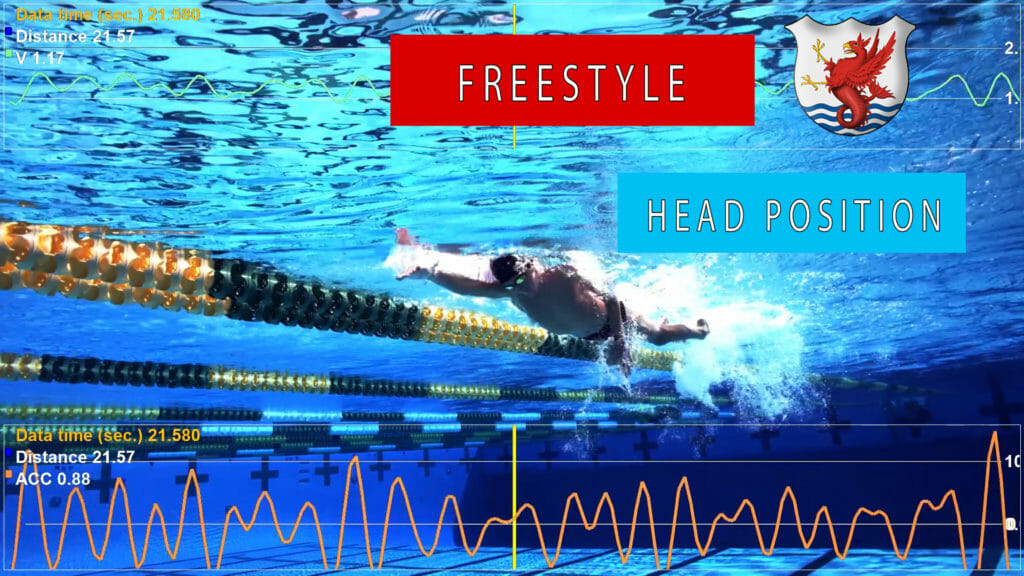 Freestyle Head Position
