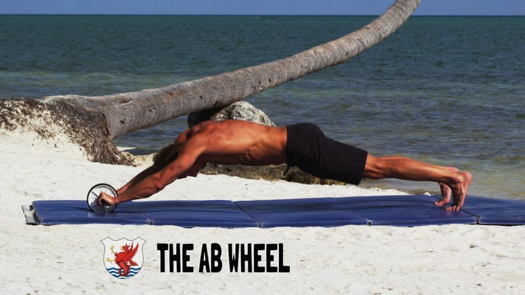 This simple tool can lead to incredible results in your core strength.  You can purchase it in our store!
 		
			
				Join the club to access this page! You must purchase one of our Race Club memberships:  The Race Club Membership – 4: Pro, Monthly, The Race Club Membership – 4: Pro, Annual, The Race Club Membership – 4: Elite, Monthly, The Race Club Membership – 4: Elite, Annual, The Race Club Membership – 4: Pro, 4-Month Bundle, The Race Club Membership – 4: Elite, 4-Month Bundle, The Race Club Membership – 4: Premium, Monthly, The Race Club Membership – 4: Premium, 4-Month Bundle, The Race Club Membership – 4: Premium, Annual, The Race Club Membership - Gold – Pro Coach, Monthly, The Race Club Membership - Gold – Elite - Alex Meyer - $375/month or $3500/year, Monthly, The Race Club Membership - Gold – Elite - Dr Megan Cannon $375/month or $3500/year, Monthly, The Race Club Membership - Gold – Premium - Gary Hall Jr - $425/month or $4000/year, Monthly, The Race Club Membership - Gold – Premium - Gary Hall Sr - $425/month or $4000/year, Monthly, The Race Club Membership - Gold – Pro Coach, Annual, The Race Club Membership - Gold – Elite - Alex Meyer - $375/month or $3500/year, Annual, The Race Club Membership - Gold – Elite - Dr Megan Cannon $375/month or $3500/year, Annual, The Race Club Membership - Gold – Premium - Gary Hall Jr - $425/month or $4000/year, Annual, The Race Club Membership - Gold – Premium - Gary Hall Sr - $425/month or $4000/year, Annual, The Race Club Membership – 3, Annual, The Race Club Membership – 3, Monthly, The Race Club Membership - Silver – Monthly or The Race Club Membership - Silver – Annual

Or Login