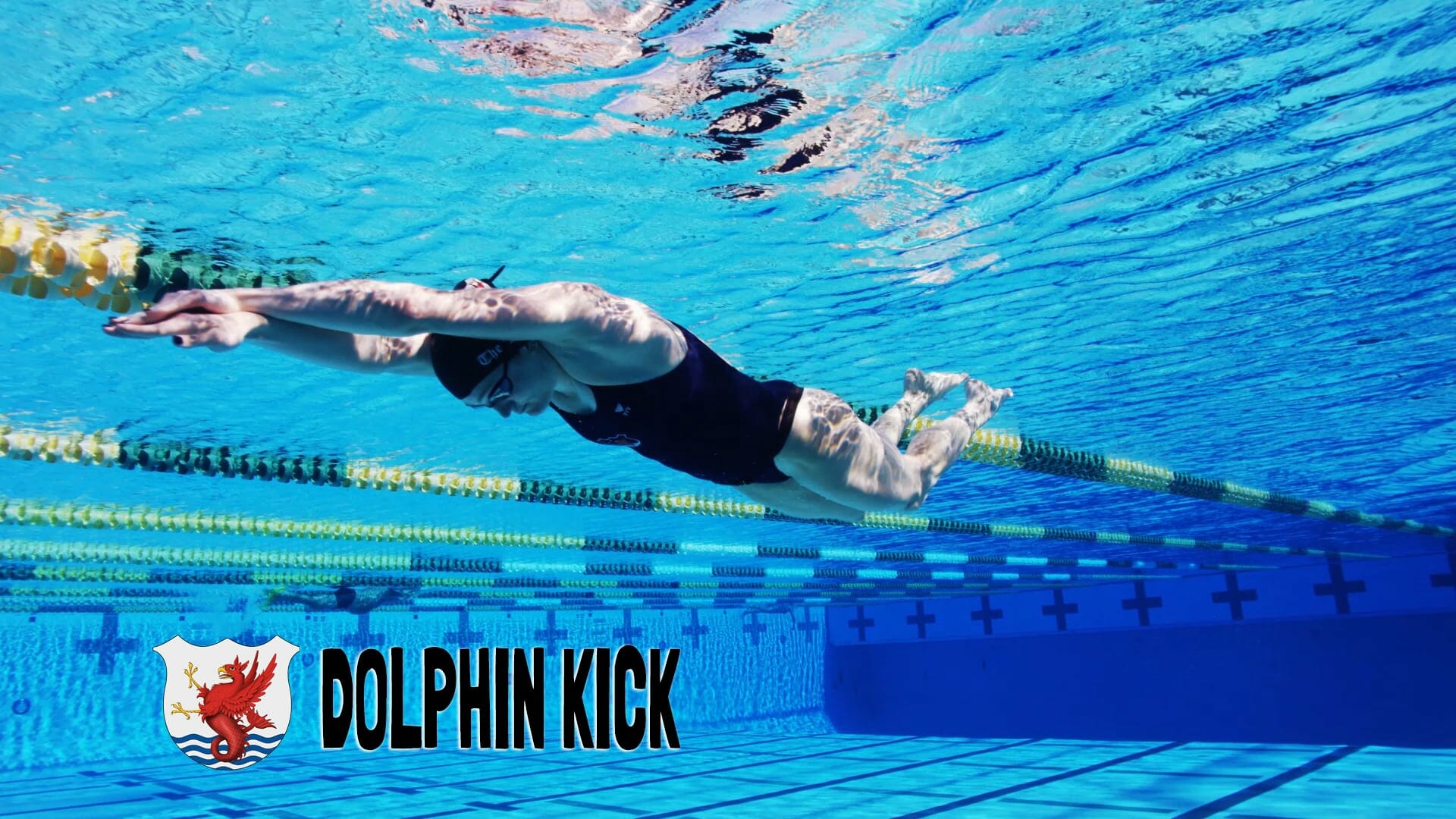 Introduction to Dolphin Kick - The Race Club