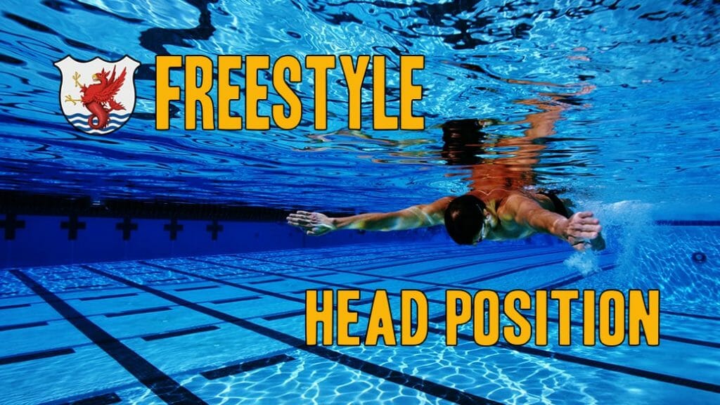 Many freestylers swim with their heads too high. In a crowded swimming pool, swimmers often look forward, hoping to avoid a collision with one of their teammates. These defensive swimming techniques create a bad habit that slows them down. In this swim video, world record holder and Olympic champ Roland Schoeman and Lexie Kelly show how head elevation slows their swimming techniques while Japanese champion, Junya Koga, swims freestyle the way we teach at The Race Club almost effortlessly with his head in the correct swimming technique.