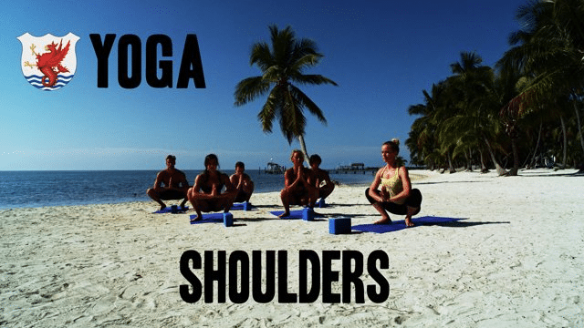 In this intense 20 minute Vinyasa flow yoga practice, you will find yourself mimicking body rotation in freestyle and backstroke by stacking the shoulders