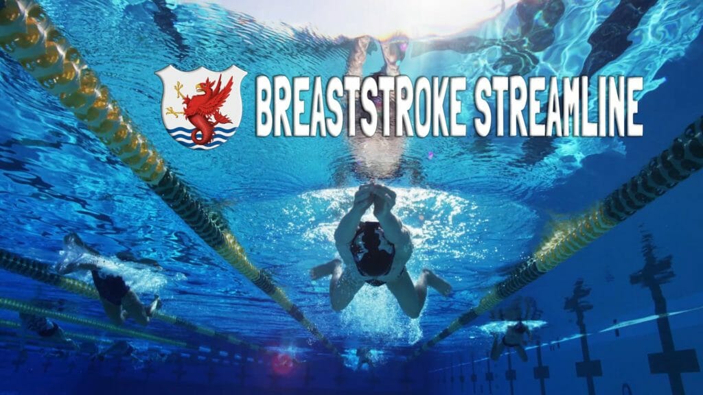 In this video learn the difference between a ‘Racing Streamline’ and a ‘Hyper Streamline’. We use the 2 kick down swim drill with a hyper streamline in order to understand the amount of effort used in a breaststroke racing streamline. Once a swimmer understands the considerable effort to obtain a racing streamline is worth it, they will become a faster breaststroker.
 		
			
				Join the club to access this page! You must purchase one of our Race Club memberships:  The Race Club Membership – 2, Monthly, The Race Club Membership – 2, Annual, The Race Club Membership (Lane 2 Only) – 2, Monthly, The Race Club Membership (Lane 2 Only) – 2, Annual, The Race Club Membership - Bronze – Monthly, The Race Club Membership - Bronze – Annual, The Race Club Membership – 4: Pro, Monthly, The Race Club Membership – 4: Pro, Annual, The Race Club Membership – 4: Elite, Monthly, The Race Club Membership – 4: Elite, Annual, The Race Club Membership – 4: Pro, 4-Month Bundle, The Race Club Membership – 4: Elite, 4-Month Bundle, The Race Club Membership – 4: Premium, Monthly, The Race Club Membership – 4: Premium, 4-Month Bundle, The Race Club Membership – 4: Premium, Annual, The Race Club Membership - Gold – Pro Coach, Monthly, The Race Club Membership - Gold – Elite - Alex Meyer - $375/month or $3500/year, Monthly, The Race Club Membership - Gold – Elite - Dr Megan Cannon $375/month or $3500/year, Monthly, The Race Club Membership - Gold – Premium - Gary Hall Jr - $425/month or $4000/year, Monthly, The Race Club Membership - Gold – Premium - Gary Hall Sr - $425/month or $4000/year, Monthly, The Race Club Membership - Gold – Pro Coach, Annual, The Race Club Membership - Gold – Elite - Alex Meyer - $375/month or $3500/year, Annual, The Race Club Membership - Gold – Elite - Dr Megan Cannon $375/month or $3500/year, Annual, The Race Club Membership - Gold – Premium - Gary Hall Jr - $425/month or $4000/year, Annual, The Race Club Membership - Gold – Premium - Gary Hall Sr - $425/month or $4000/year, Annual, The Race Club Membership – 3, Annual, The Race Club Membership – 3, Monthly, The Race Club Membership - Silver – Monthly or The Race Club Membership - Silver – Annual

Or Login