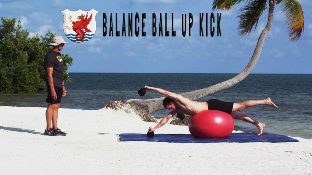 In this balance ball exercise learn an easy an effective way to increase strength in all of the key core muscle groups for fast swimming. It will particularly help your up kick on dolphin and freestyle kicks and swims.
 		
			
				Join the club to access this page! You must purchase one of our Race Club memberships:  The Race Club Membership – 4: Pro, Monthly, The Race Club Membership – 4: Pro, Annual, The Race Club Membership – 4: Elite, Monthly, The Race Club Membership – 4: Elite, Annual, The Race Club Membership – 4: Pro, 4-Month Bundle, The Race Club Membership – 4: Elite, 4-Month Bundle, The Race Club Membership – 4: Premium, Monthly, The Race Club Membership – 4: Premium, 4-Month Bundle, The Race Club Membership – 4: Premium, Annual, The Race Club Membership - Gold – Pro Coach, Monthly, The Race Club Membership - Gold – Elite - Alex Meyer - $375/month or $3500/year, Monthly, The Race Club Membership - Gold – Elite - Dr Megan Cannon $375/month or $3500/year, Monthly, The Race Club Membership - Gold – Premium - Gary Hall Jr - $425/month or $4000/year, Monthly, The Race Club Membership - Gold – Premium - Gary Hall Sr - $425/month or $4000/year, Monthly, The Race Club Membership - Gold – Pro Coach, Annual, The Race Club Membership - Gold – Elite - Alex Meyer - $375/month or $3500/year, Annual, The Race Club Membership - Gold – Elite - Dr Megan Cannon $375/month or $3500/year, Annual, The Race Club Membership - Gold – Premium - Gary Hall Jr - $425/month or $4000/year, Annual, The Race Club Membership - Gold – Premium - Gary Hall Sr - $425/month or $4000/year, Annual, The Race Club Membership – 3, Annual, The Race Club Membership – 3, Monthly, The Race Club Membership - Silver – Monthly or The Race Club Membership - Silver – Annual

Or Login