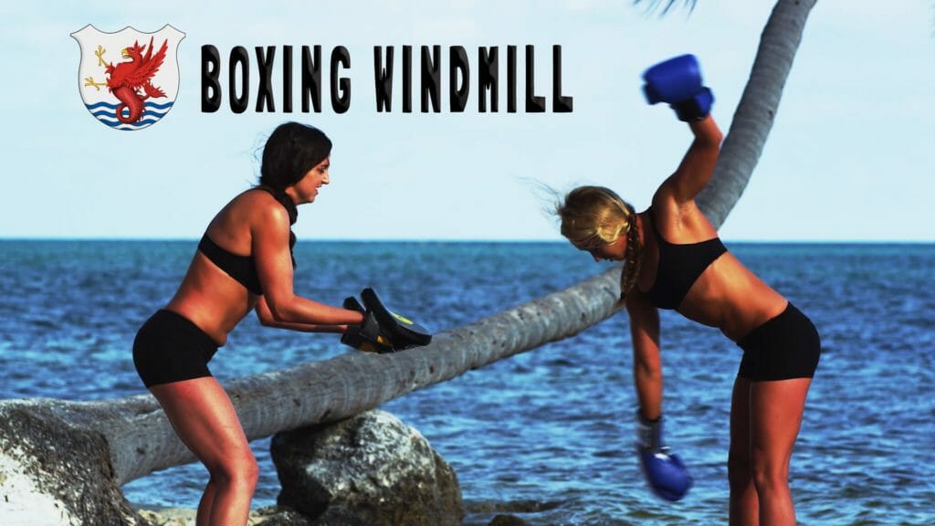 Dryland | Boxing Windmill