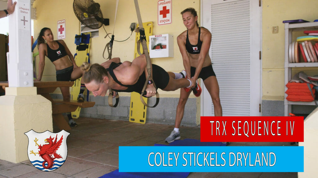 TRX straps