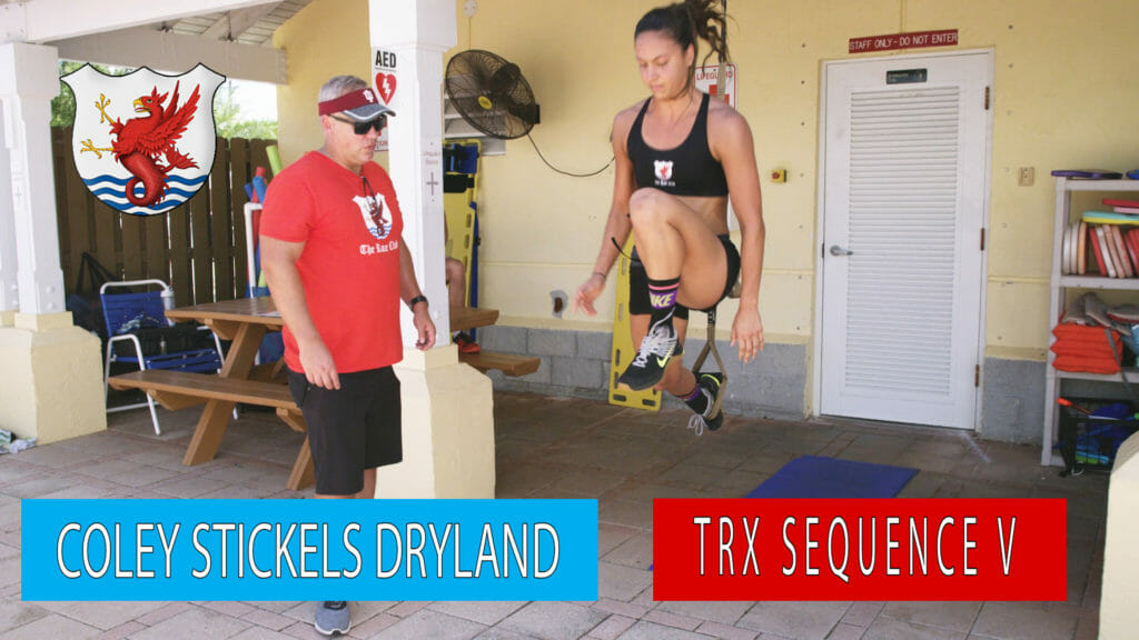 trx straps