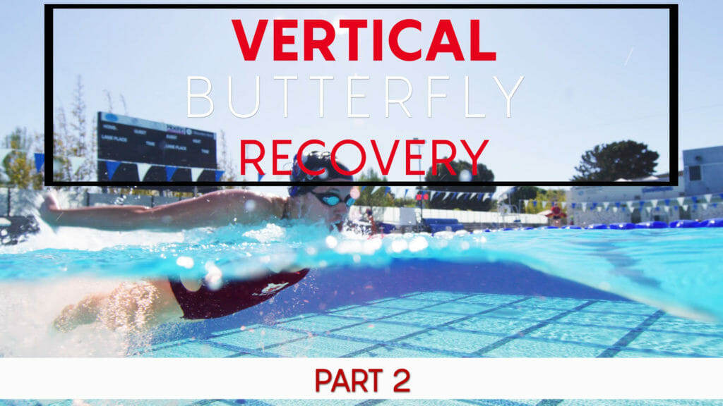butterfly recovery