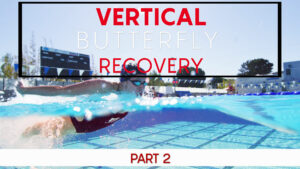 butterfly recovery