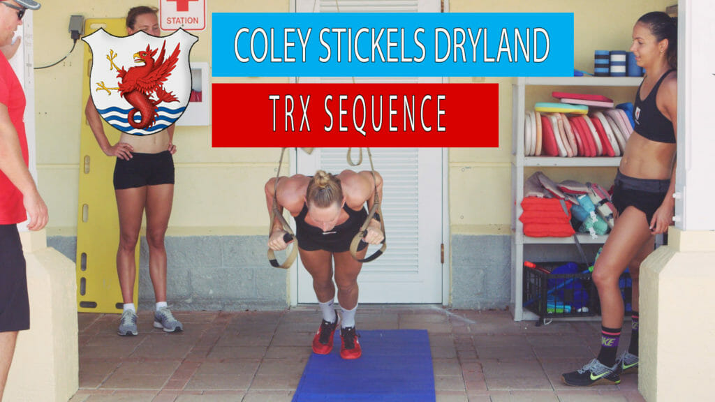 trx straps