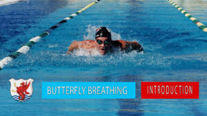 butterfly breathing