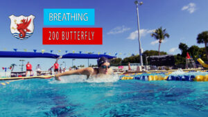 butterfly breathing