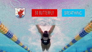 butterfly breathing