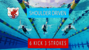swim drill