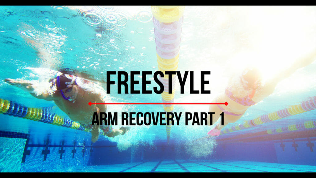 freestyle swim