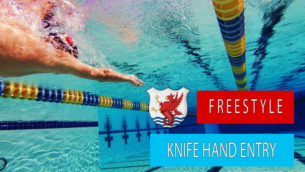Freestyle Hand Entry