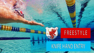 Freestyle Hand Entry