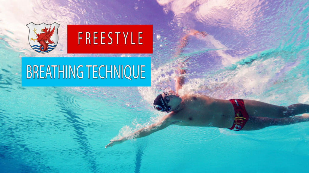 freestyle swim technique