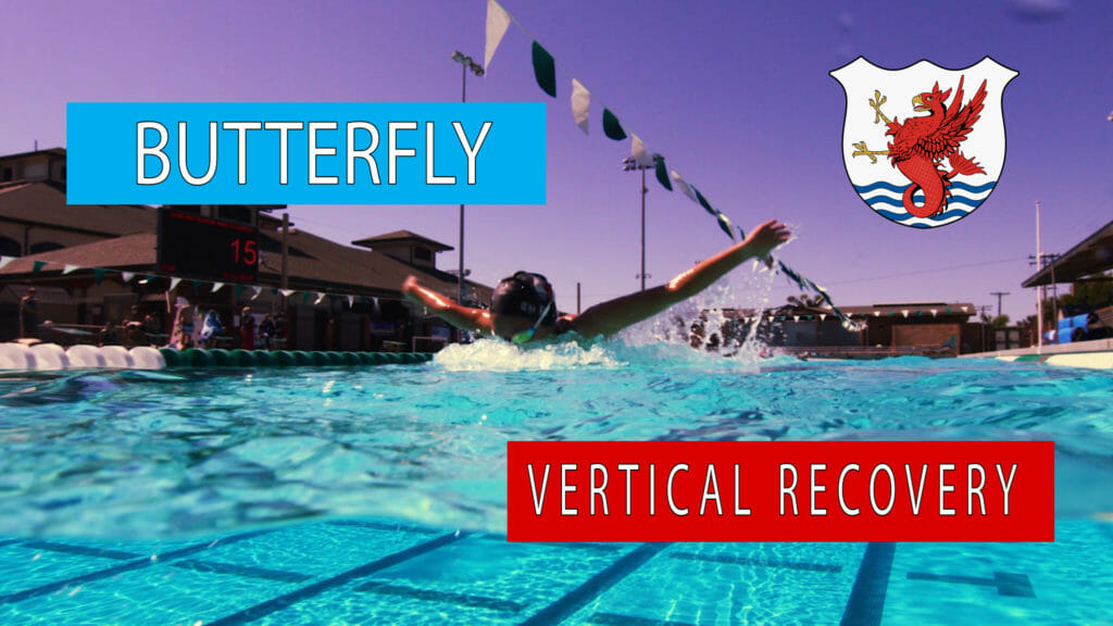swim technique vertical recovery butterfly