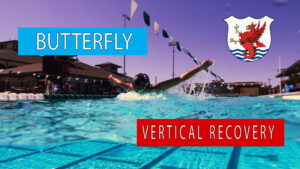 swim technique vertical recovery butterfly