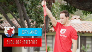 shoulder stretches