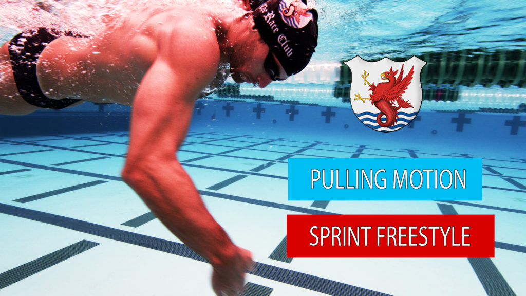 sprint freestyle technique