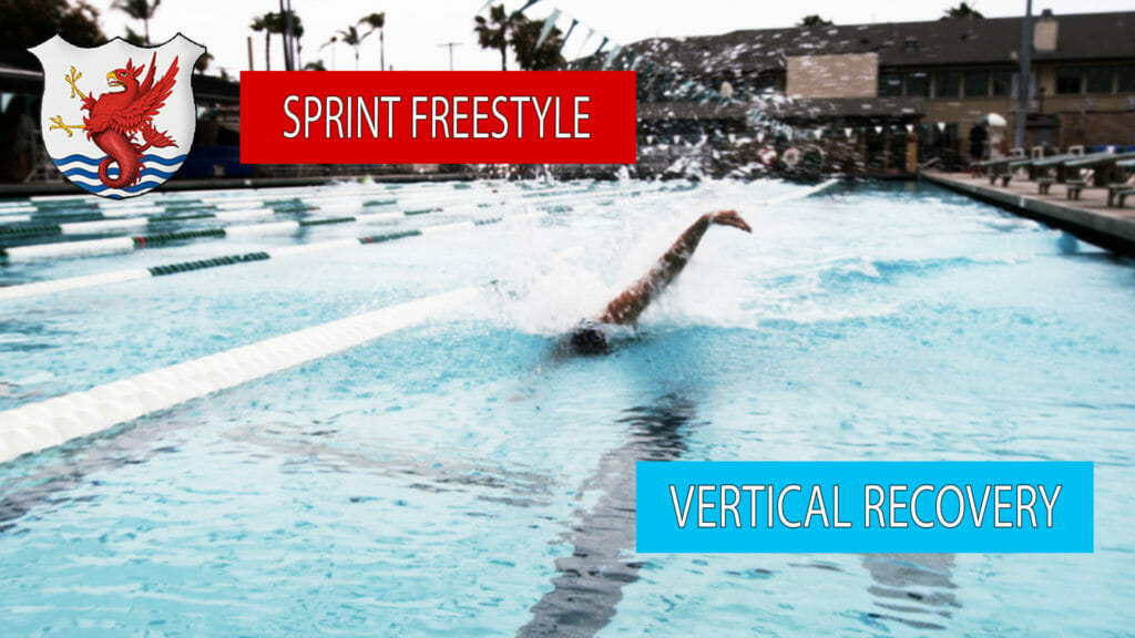 freestyle technique
