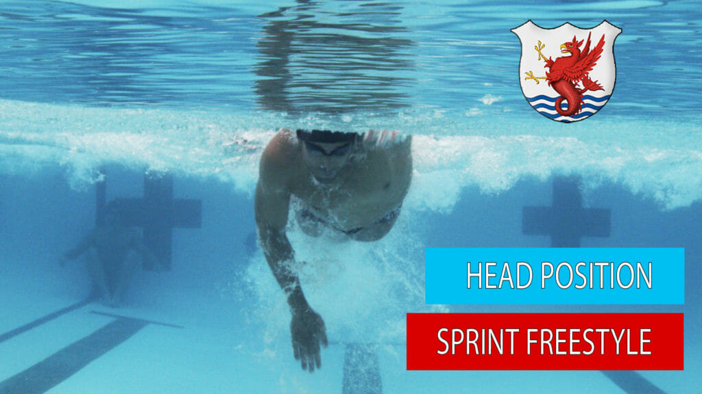 sprint freestyle