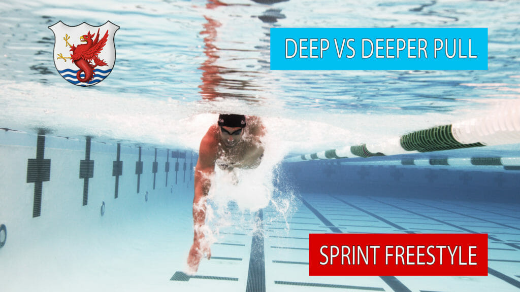 sprint freestyle