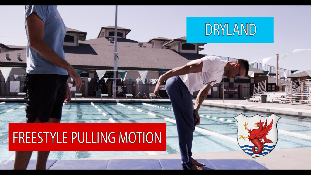 Freestyle pulling motion