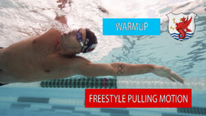 freestyle pull