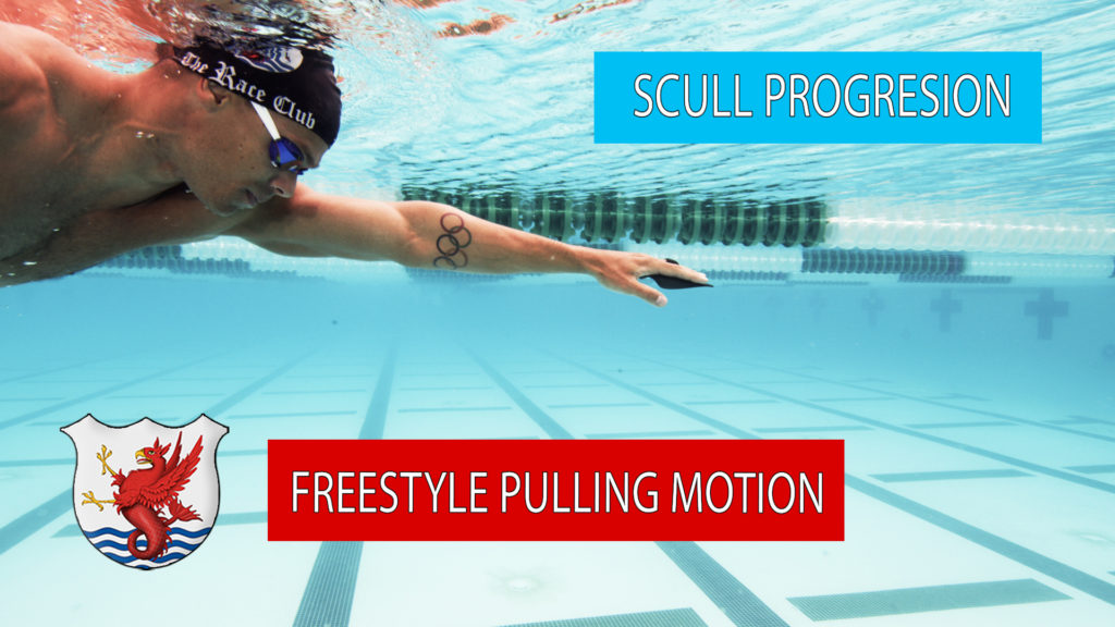 swim progression