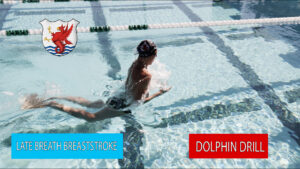 Breaststroke with Dolphin Kick
