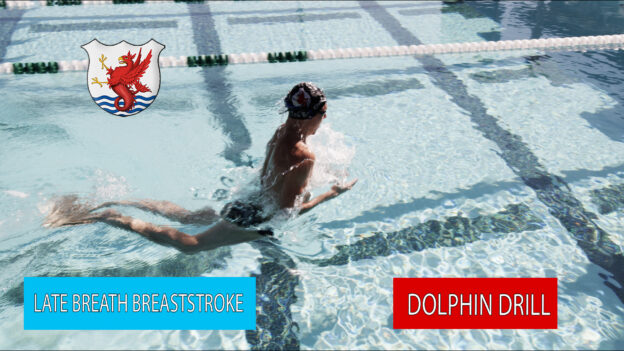 Breaststroke with Dolphin Kick