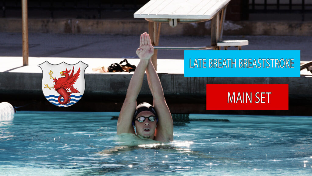 breaststroke main set