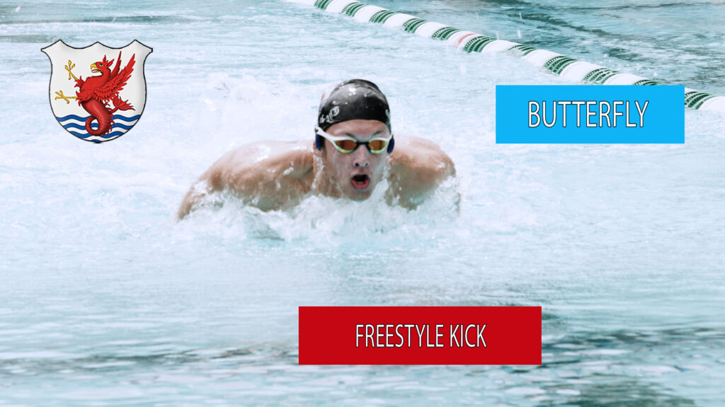 Freestyle Butterfly