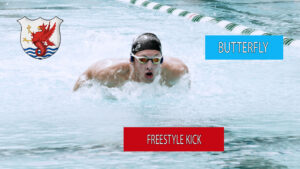 Freestyle Butterfly