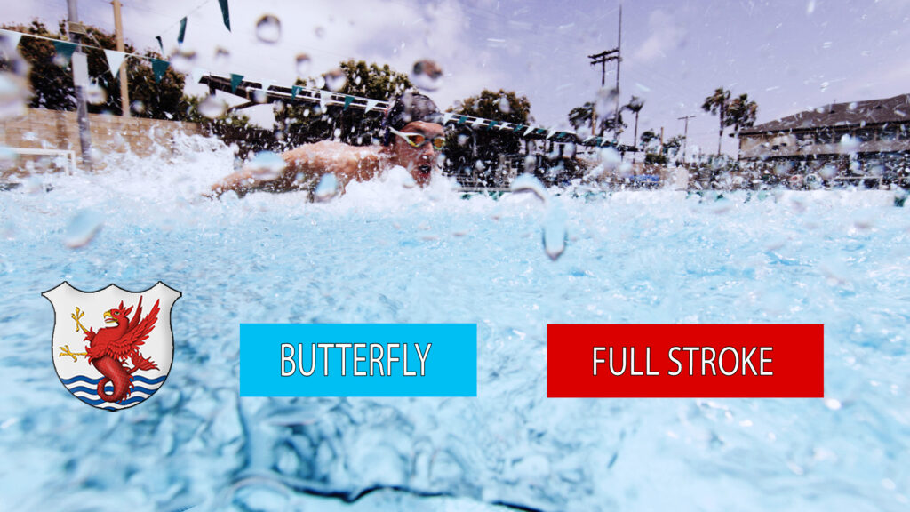 butterfly swim technique