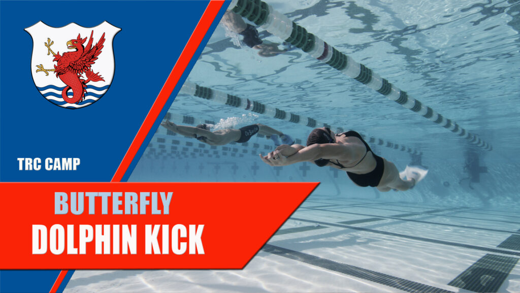 dolphin kick