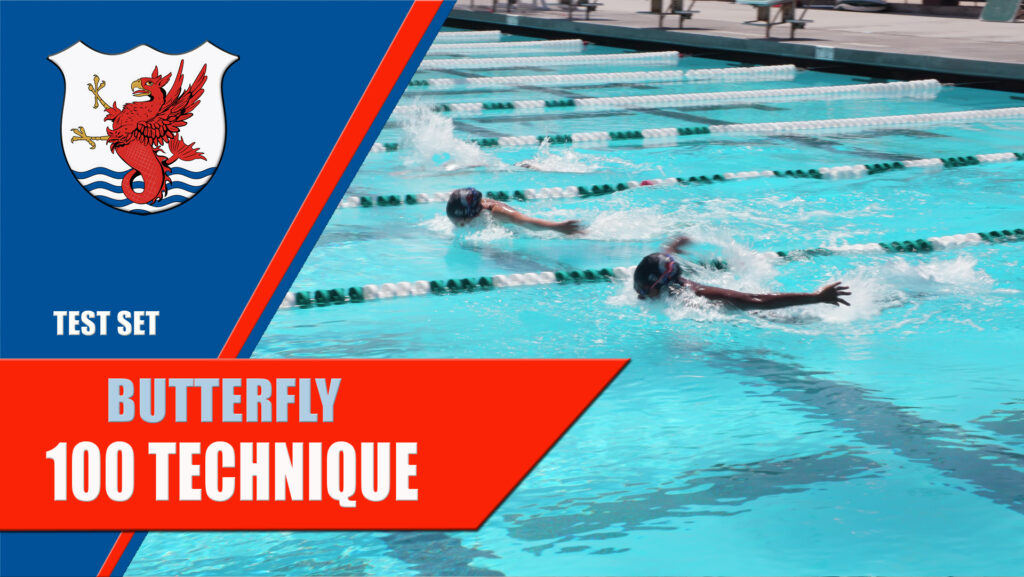 butterfly swimming technique