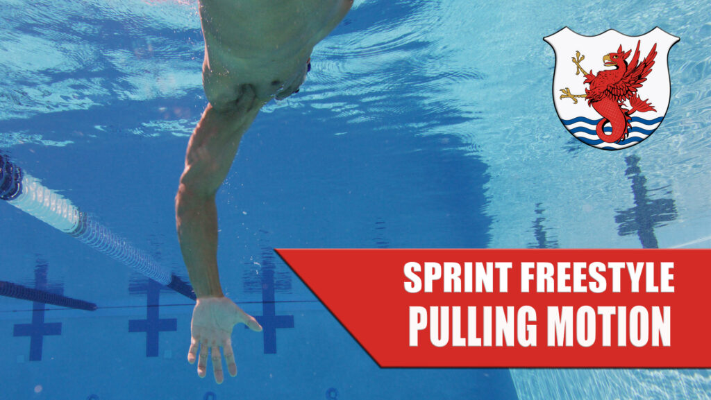 sprint freestyle