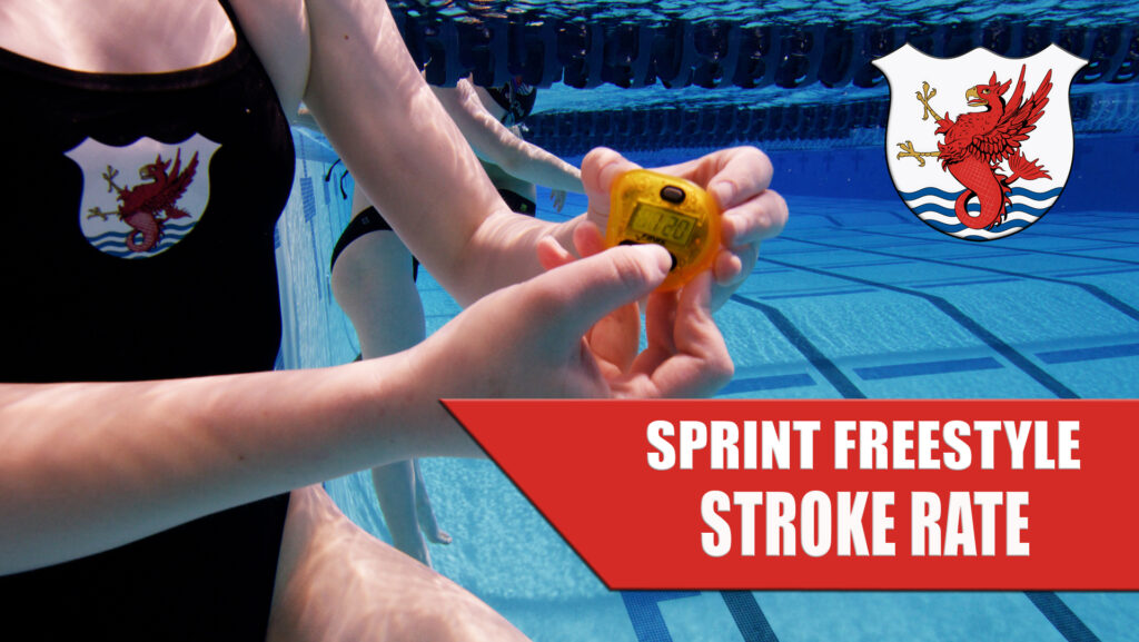 sprint freestyle